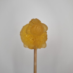 Sugarsheep