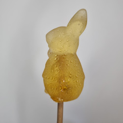 Sugarbunny