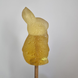 Sugarbunny