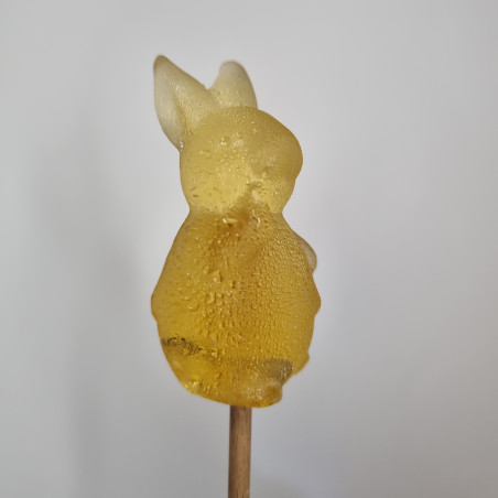 Sugarbunny