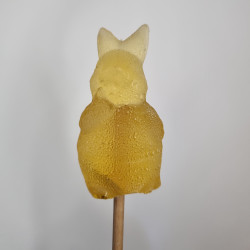 Sugarbunny