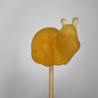 Sugarsnail