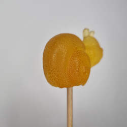 Sugarsnail